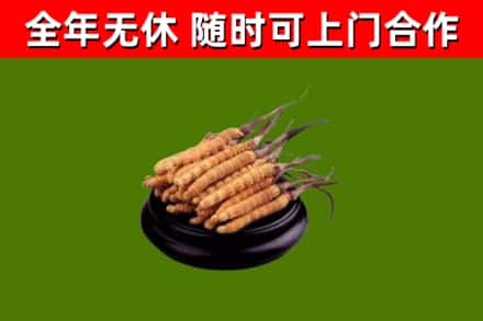 梅里斯区烟酒回收冬虫夏草.jpg