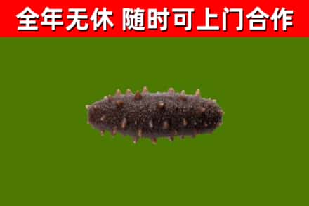梅里斯区烟酒回收干海参.jpg